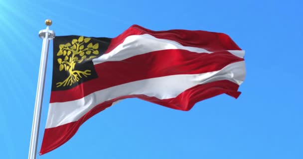 Hertogenbosch Flag Brabante Settentrionale Paesi Bassi Ciclo — Video Stock