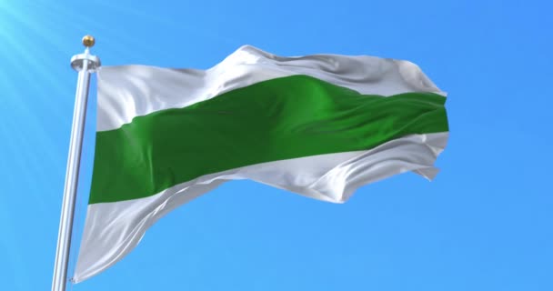 Groningen Flag Groningen Nederländerna Ögla — Stockvideo