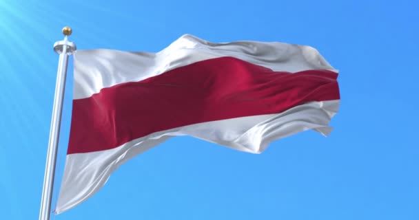 Enschede Flag Overijssel Nizozemsko Smyčka — Stock video