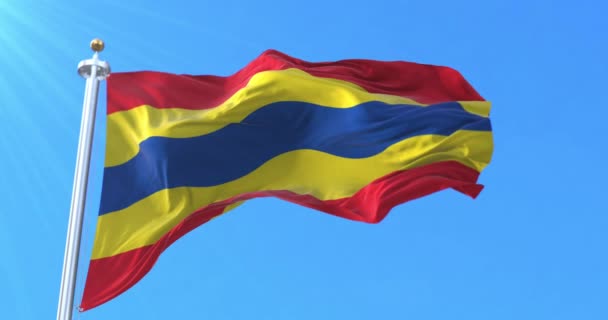 Overijssel Flag Нідерланди Петля — стокове відео