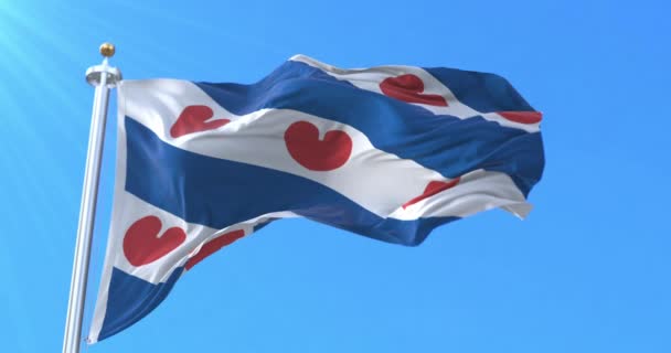 Friesland Flag Nederland Lijn — Stockvideo