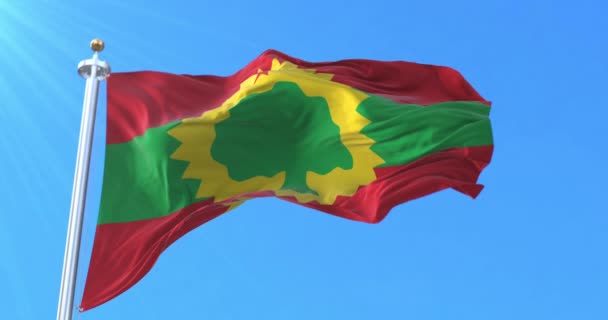 Oromo Bevrijdingsfront Vlag Lijn — Stockvideo
