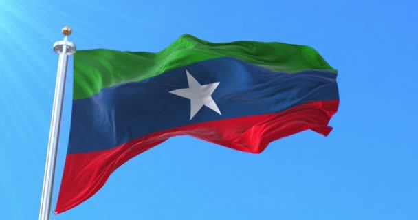 Vlag Van Het Ogaden National Liberation Front West Somalië Ethiopië — Stockvideo