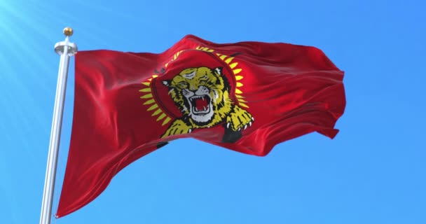 Bandeira Tamil Eelam Sri Lanka Laço — Vídeo de Stock