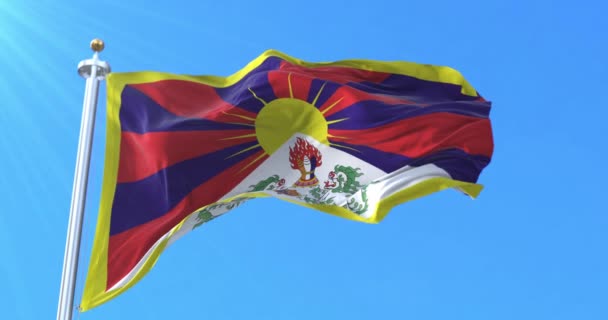 Vlag Van Tibet Lijn — Stockvideo