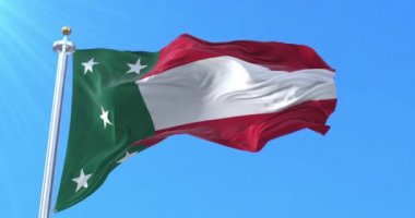 Yucatan Cumhuriyeti bayrağı. Döngü