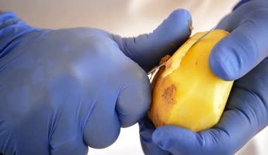 Şef peeling patates bıçak ile