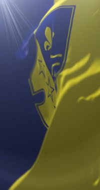 Bosna Podrinje Canton Gorazde Bayrağı, Bosna-Hersek. Döngü. 4K Dikey