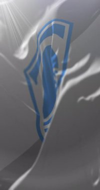 Bosna-Hersek 'in Mostar kenti bayrağı. Döngü. 4K Dikey