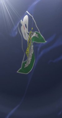 Moğolistan, Altai bayrağı. Döngü. 4K Dikey