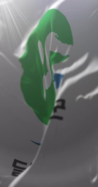 Dalseong County, Güney Kore bayrağı. Döngü. 4K Dikey