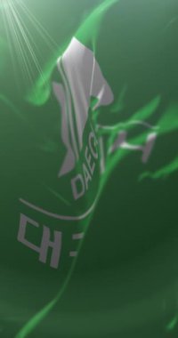 Daegu Metropolitan Şehri, Güney Kore bayrağı. Döngü. 4K Dikey