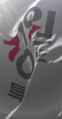 Gangwon Eyaleti bayrağı, Güney Kore. Döngü. 4K Dikey