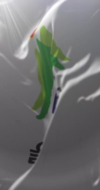 Ulju bayrağı, Güney Kore. Döngü. 4K Dikey