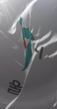 Ulsan Metropolitan Şehir Bayrağı, Güney Kore. Döngü. 4K Dikey