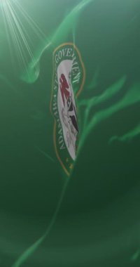 Nijerya 'daki Adamawa Devlet Bayrağı. Döngü. 4K Dikey