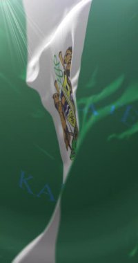 Kaduna Eyalet Bayrağı, Nijerya. Döngü. 4K Dikey