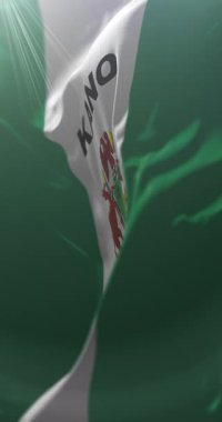 Kano Eyalet Bayrağı, Nijerya. Döngü. 4K Dikey