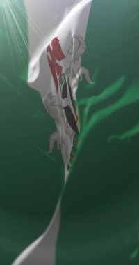 Nijerya Bayrağı, Arms Coat, Nijerya. Döngü. 4K Dikey