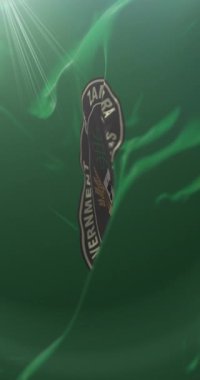 Zamfara Eyalet Bayrağı, Nijerya, Seal ile. Döngü. 4K Dikey