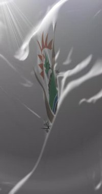 Amathole Belediyesi Bayrağı, Güney Afrika. Döngü. 4K Dikey