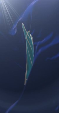 Güney Afrika, Durban şehrinin bayrağı. Döngü. 4K Dikey