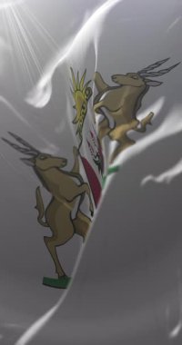 Doğu Cape Eyaleti bayrağı, Güney Afrika. Döngü. 4K Dikey