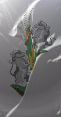 Limpopo Eyaleti Bayrağı, Güney Afrika. Döngü. 4K Dikey