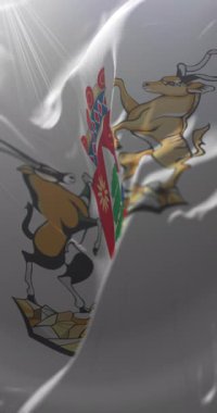 Kuzey Cape Eyaleti bayrağı, Güney Afrika. Döngü. 4K Dikey