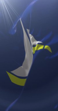 Damietta Valiliği bayrağı, Mısır. Döngü. 4K Dikey