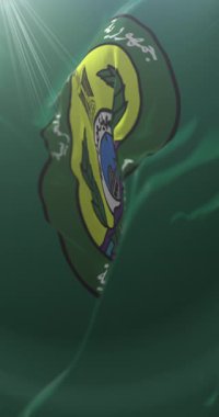 İsmail Valiliği bayrağı, Mısır. Döngü. 4K Dikey