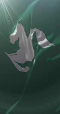 Şeriat Valiliği, Mısır. Döngü. 4K Dikey