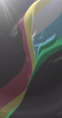 Engelli bayrağı. 4K dikey. Döngü