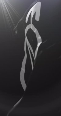 Gecekonducuların Siyah Bayrağı. 4K dikey. Döngü