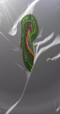 Flag of Oriental Mindoro, Philippines. Loop. 4K Vertical