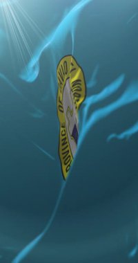 Flag of Davao del Norte Province, Philippines. Loop. 4K Vertical