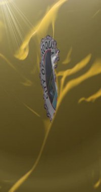 Flag of Oroquieta, the Philippines. Loop. 4K Vertical