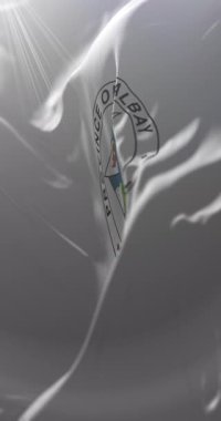 Filipinler, Albay Eyaleti bayrağı. Döngü. 4K Dikey