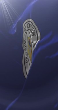 Filipinler, Quezon Eyaleti bayrağı. Döngü. 4K Dikey