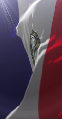 Flag of Eastern Samar Province, Philippines. Loop. 4K Vertical