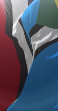 Flag of Makira-Ulawa Province, Solomon Islands. Loop. 4K Vertical