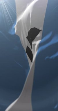 Flag of Rennell and Bellona, Solomon Islands. Loop. 4K Vertical