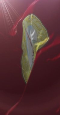 Tayland, Chachoengsao Eyaleti bayrağı. Döngü. 4K Dikey