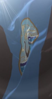 Mae Hong Son Eyaleti bayrağı, Tayland. Döngü. 4K Dikey