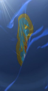 Nakhon Sawan bayrağı, Tayland. Döngü. 4K Dikey