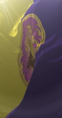 Nan Eyaleti bayrağı, Tayland. Döngü. 4K Dikey