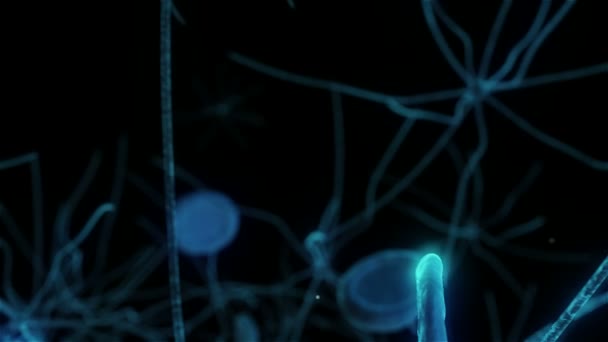Animation du voyage à travers les neurones dans le cerveau humain 