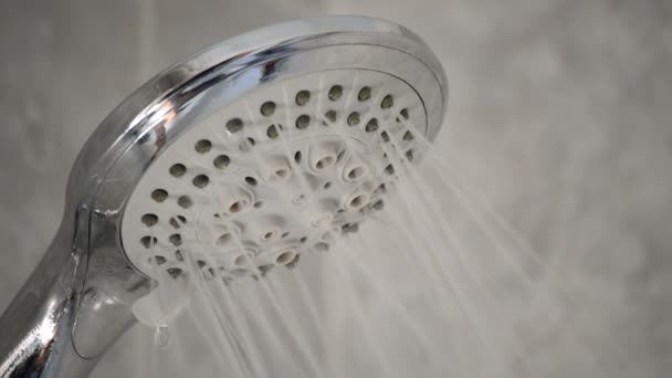 Shower faucet opening expelling water in a bath — Stock Video