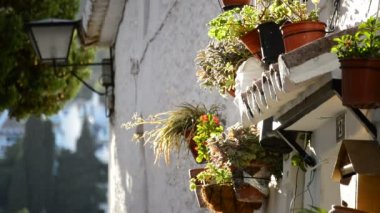 Tipik bir Endülüs Köyü çini, tencere ve gün batımında badanalı duvar köşesine