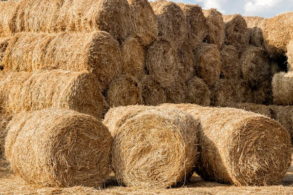 Storage of hay Stock Photo